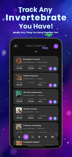 Arachnifiles ڈاؤن لوڈ کریں – مکڑیوں کے لیے بہترین پیٹ ٹریکر - Screenshot 1