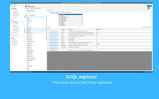 Salesforce Toolkit ڈاؤن لوڈ کریں – Salesforce ایڈمنز کے لیے بہترین ٹول - Screenshot 2
