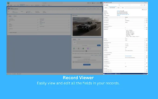 Salesforce Toolkit ڈاؤن لوڈ کریں – Salesforce ایڈمنز کے لیے بہترین ٹول - Screenshot 5