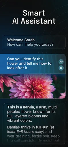AI Chatbot – Nova ڈاؤن لوڈ کریں – جدید ترین AI ماڈل مفت - Screenshot 10