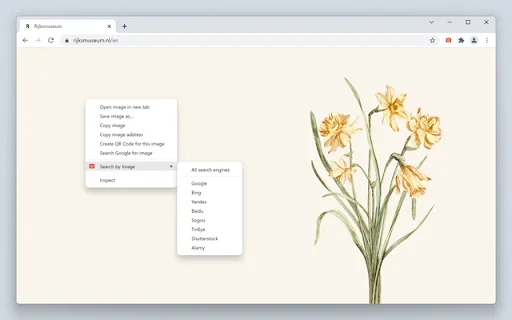 Search by Image ڈاؤن لوڈ کریں – طاقتور ریورس امیج سرچ ٹول - Screenshot 2