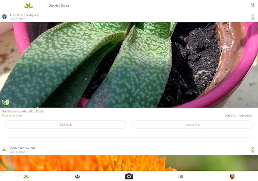 PlantNet Plant Identification ڈاؤن لوڈ کریں – پودوں کی شناخت اب آسان - Screenshot 12