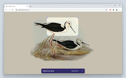 Search by Image ڈاؤن لوڈ کریں – طاقتور ریورس امیج سرچ ٹول - Screenshot 4