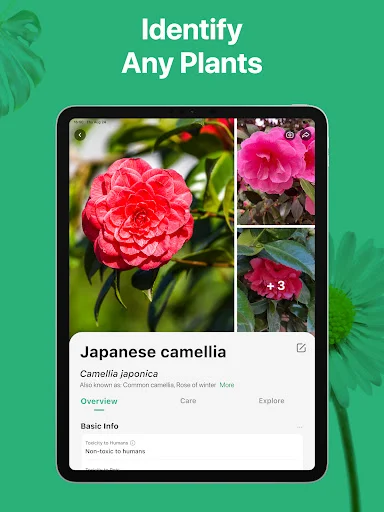 PictureThis ڈاؤن لوڈ کریں – پودوں کی فوری شناخت اور دیکھ بھال - Screenshot 10